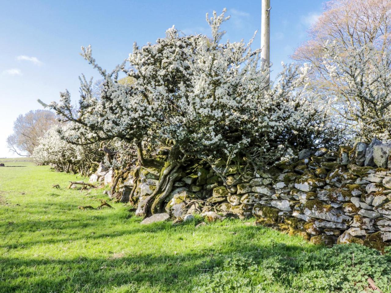 5 Ceirnioge Cottages Betws-y-Coed Kültér fotó